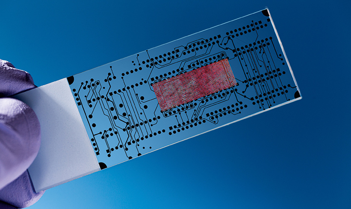 Hand holding a glass lab-on-a-chip