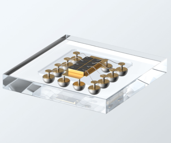 Ultra-Miniature Packaging for Implantable Devices