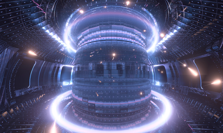 View inside a Tokamak reactor