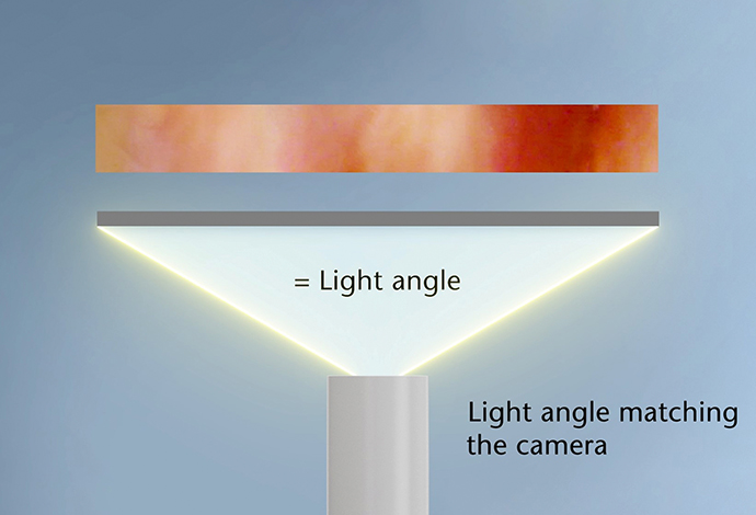 Diagram of the cross-section of a SCHOTT® SingleEZ glass fiber 