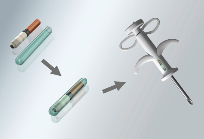 Diagram showing how RFID transponders are encased in SCHOTT VivoTag® glass before being injected into an animal