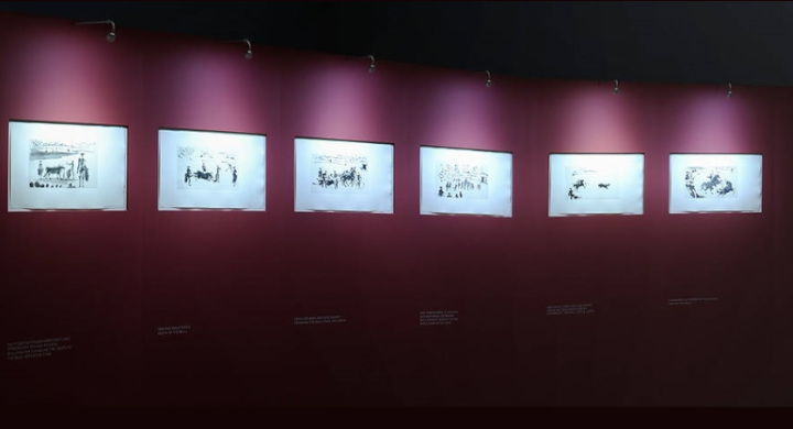 SCHOTT anti-reflective glass is ideal for picture glazing in galleries A series of pictures displayed in an art gallery glazed with SCHOTT anti-reflective glass