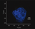 Analyse de particules