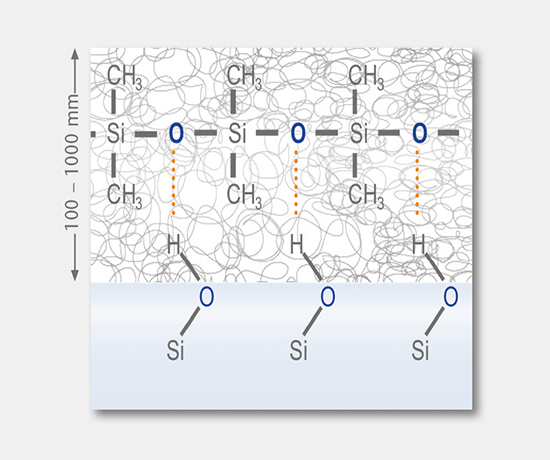 Extractables und Leachables (E&L)