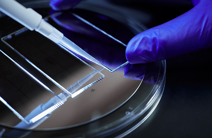 Gloved hand in a laboratory holds a glass slide underneath a pipette